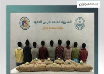 القبض على 9 إثيوبيين بجازان لتهريبهم 180 كيلوجرامًا من نبات القات المخدر