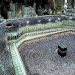باحث فقهي: الالتزام بالتعليمات الصحية في الحج والعمرة واجب شرعي لما فيه من حفظ النفس والآخرين من الضرر