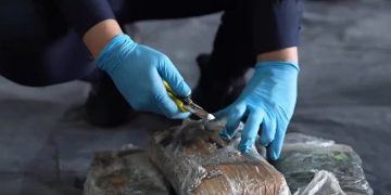 جمرك ميناء جدة الإسلامي يُحبط تهريب أكثر من 8 كيلوغرامات من الكوكايين