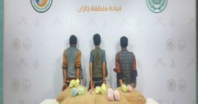 حرس الحدود بجازان يقبض على 3 يمنيين لتهريبهم 100 كيلوجراما من القات المخدر