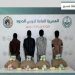 حرس الحدود في عسير يقبض على 4 مخالفين لتهريبهم 80 كيلوجرامًا من القات المخدر
