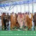 رئيس لجنة الحج العليا يقف على جاهزية منظومة النقل والخدمات اللوجستية لخدمة ضيوف الرحمن