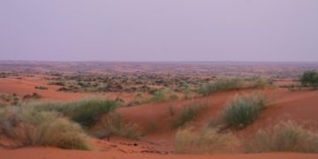رمال النفود تكتسي بألوان ذهبية في لوحة آسرة