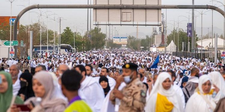 عرفات في يوم الحج الأكبر.. مشهد إيماني مهيب وتنظيم محكم ورعاية شاملة لضيوف الرحمن