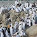 عضو هيئة كبار العلماء: وزارة الداخلية والجهات الحكومية تبذل جهودًا في تعزيز الوعي بتعليمات الحج