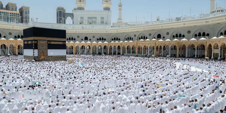 متحدث وزارة الحج: أكثر من 607 مركز ضيافة لخدمة الحجاج ومتابعة احتياجاتهم