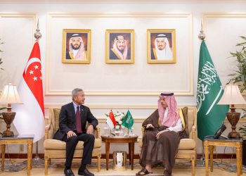 وزير الخارجية ونظيره السنغافوري يبحثان دعم جهود حماية الممرات المائية