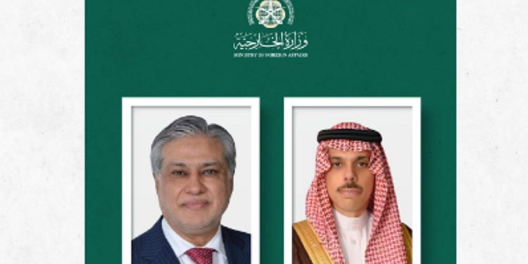 وزير الخارجية يبحث جهود الوساطة مع نظيره الباكستاني 