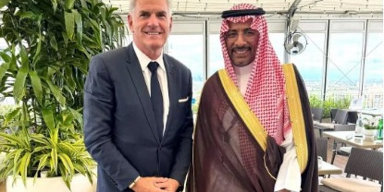 وزير الصناعة يناقش الفرص الاستثمارية المشتركة في الصناعة والتعدين مع أمريكا وفرنسا