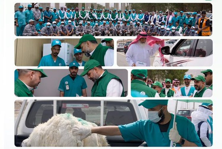«وقاء» يرفع جاهزية الفرق الميدانية استعدادًا لموسم حج 1447هـ بمكة المكرمة