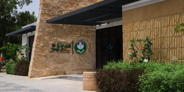 أكثر من 4700 زائر لمواقع مشاهدة كأس العالم عبر مكاتب «مدينتي» بمنطقة الرياض