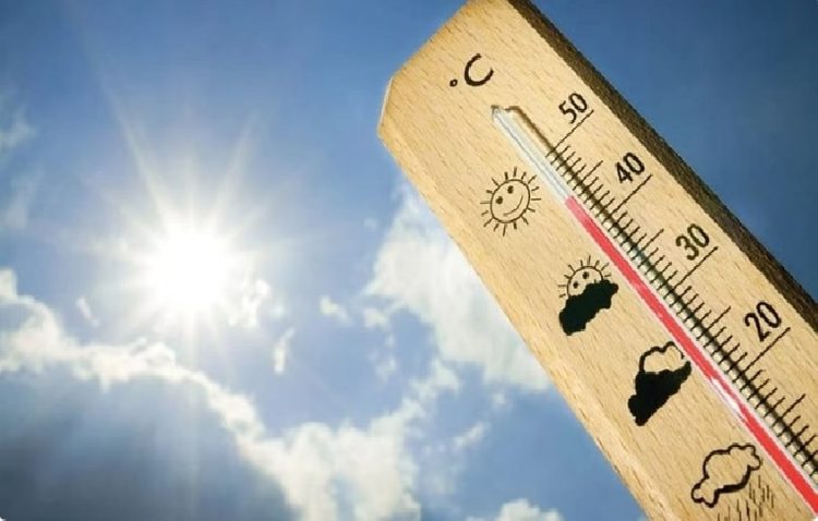 «الأرصاد»: المدينة المنورة الأعلى حرارة بـ45 مئوية.. والسودة الأدنى