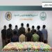 القبض على 12 مخالفا من الجنسيتين الإثيوبية واليمنية لتهريبهم 240 كيلوجراما من القات في جازان