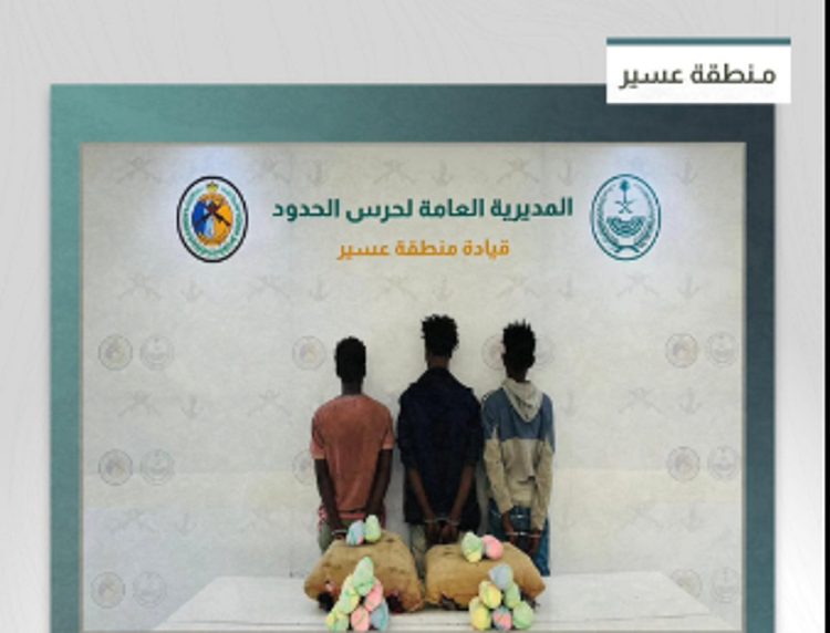 القبض على 3 مخالفين من الجنسية الإثيوبية لتهريبهم 42 كيلوجرامًا من القات في عسير