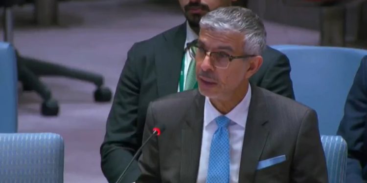المملكة: القضية الفلسطينية جوهر الصراع بالشرق الأوسط والسلام يبدأ بحل الدولتين