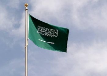 المملكة تدعو أمام مجلس الأمن إلى تحرك عاجل لوقف المأساة في غزة