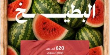 بإنتاج تجاوز 620 ألف طن.. البطيخ يشهد ذروة الإقبال في موسم الصيف