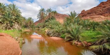 حائل تسجل أكثر من 2.5 مليون زائر خلال عام 2025