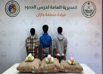 حرس الحدود بجازان يقبض على 3 إثيوبيين لتهريبهم 60 كيلوجرامًا من نبات القات المخدر