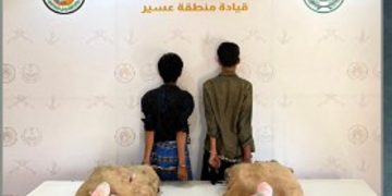 حرس الحدود بعسير يقبض على يمنيين لتهريبهما 40 كيلو جراما من القات المخدر