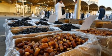 سوق التمور بالمدينة المنورة يستقبل موسم الرطب والمزارعون يترقبون حصاد 'الروثانة'