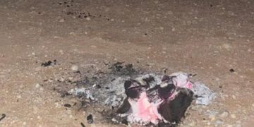 ضبط مواطن لإشعاله النار في الأماكن غير المخصصة لها بمحمية الملك عبدالعزيز الملكية