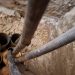عمل تخريبي يضرب «كابل اتصالات بحري» بين سوريا ومصر