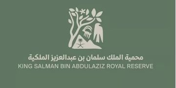محمية الملك سلمان بن عبدالعزيز الملكية تُركّب عوازل على خطوط الكهرباء لحماية الطيور المقيمة والمهاجرة