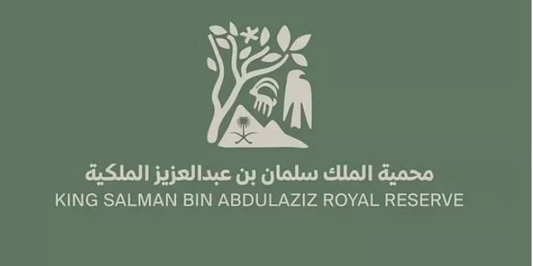 محمية الملك سلمان بن عبدالعزيز الملكية تُركّب عوازل على خطوط الكهرباء لحماية الطيور المقيمة والمهاجرة