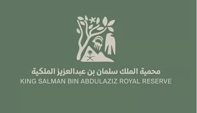 محمية الملك سلمان بن عبدالعزيز الملكية تُركّب عوازل على خطوط الكهرباء لحماية الطيور المقيمة والمهاجرة