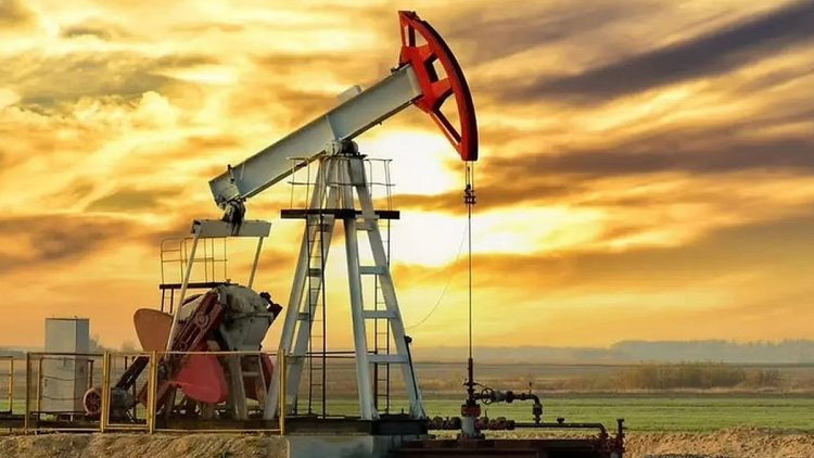 هبوط إنتاج «أوبك» لأدنى مستوى في أكثر من 20 عامًا خلال مايو