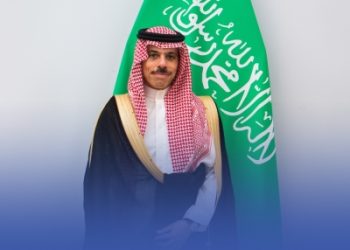 وزير الخارجية يبحث مع مستشارة الرئيس الفرنسي أوضاع المنطقة