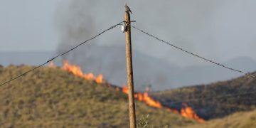 12 قتيلاً في حريق غابات ضخم بجنوب إسبانيا وإخلاء 1400 شخص