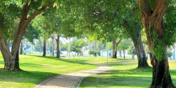 الجبيل الصناعية تخفّض الحرارة 5 درجات بغطاء نباتي يتجاوز 88 م² للفرد