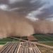 المملكة تسجل أدنى معدل تاريخي للعواصف الغبارية منذ 25 عاماً