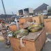 قوات العمالقة تضبط شحنة أسلحة متجهة للحوثيين في باب المندب