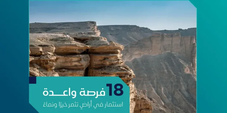 18 فرصة عقارية زراعية في مزاد سنابل ضرماء