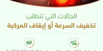 «المرور» يحدد 4 حالات تستوجب تخفيف السرعة أو إيقاف المركبة فوراً