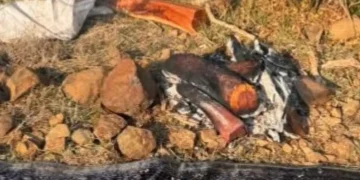 «الأمن البيئي» يضبط مخالفًا لنظام البيئة في محمية الإمام فيصل بن تركي الملكية