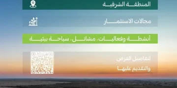 7 فرص استثمارية في متنزهات المنطقة الشرقية يطرحها مركز الغطاء النباتي