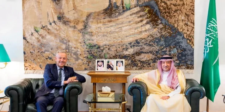 نائب وزير الخارجية يستقبل رئيس وفد العلاقات مع شبه الجزيرة العربية في البرلمان الأوروبي