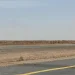 خبير فلكي يكشف أسرار الزوابع الترابية وأسباب تراجعها في المملكة