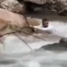 وفاة سائح سعودي غرقًا في طرابزون بتركيا وشقيقه ينجو بعد محاولة إنقاذه