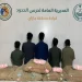 ضبط 70 كيلوجرامًا من نبات القات المخدر بحوزة 5 مخالفين لنظام أمن الحدود بجازان
