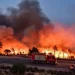 الجزائر تعلّق مهرجاناتها وتعتقل مشتبهين إثر موجة حرائق راح ضحيتها 6 أشخاص