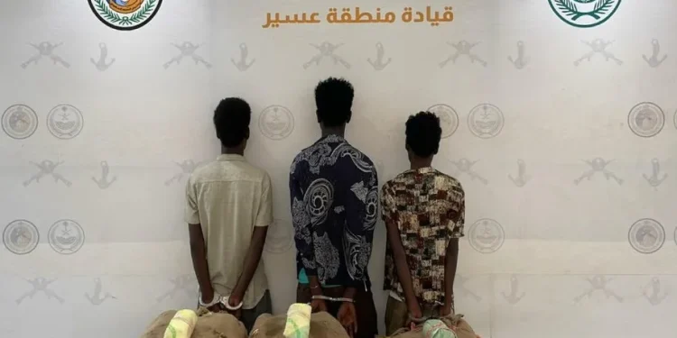 حرس الحدود بعسير يقبض على 3 مخالفين لنظام أمن الحدود بحوزتهم 60 كيلوجرامًا من نبات القات المخدر