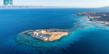 170 شاطئًا على البحر الأحمر.. تعرّف على المدن السعودية الأكثر جذبًا لعشاق السباحة