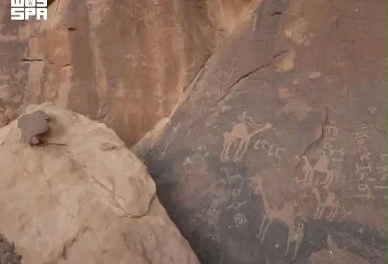 8 آلاف عام من التاريخ.. محمية الملك سلمان تحتضن أكثر من 400 موقع أثري ونقوشاً تروي حضارات الجزيرة