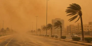 “الأرصاد” رياح شديدة وأتربة تعصف بعدة مدن ومحافظات بالشرقية