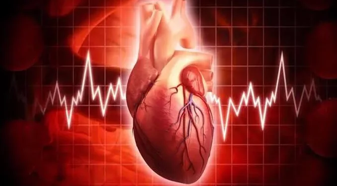 استشاري قلب يكشف 8 أسباب شائعة وراء خفقان القلب